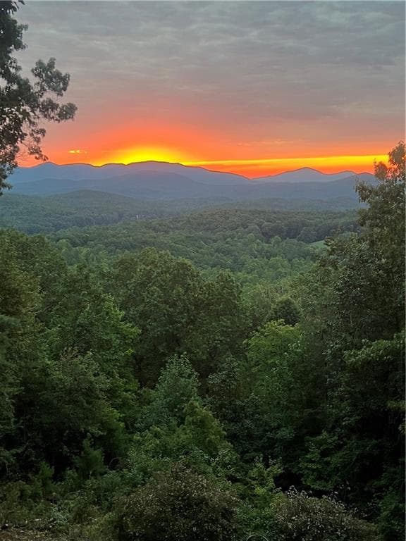 3 bedroom, 4 bathroom, 3,152 sq ft single family residence for sale at 110 Yonah View, Dahlonega, GA 30533 — photo 6