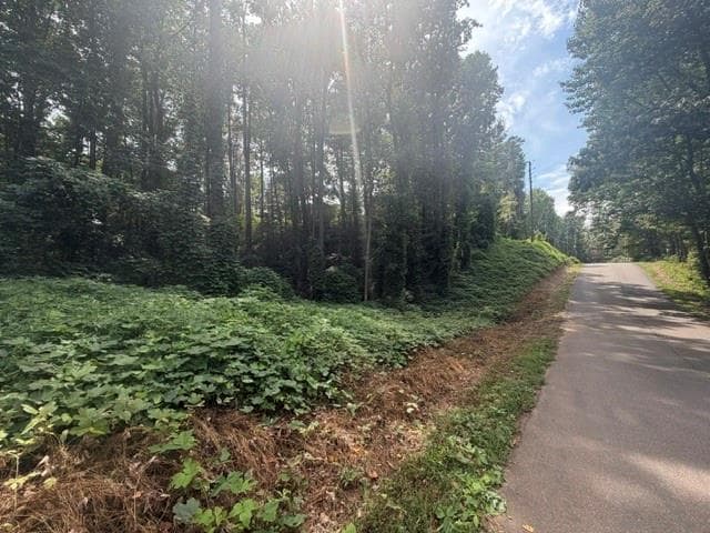 unimproved land for sale at 0 Quail mountain trail, Gainesville, GA 30506 — photo 2