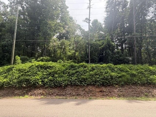 unimproved land for sale at 0 Quail mountain trail, Gainesville, GA 30506 — photo 3
