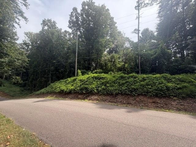 unimproved land for sale at 0 Quail mountain trail, Gainesville, GA 30506 — photo 4