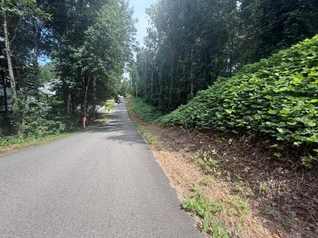 unimproved land for sale at 0 Quail mountain trail, Gainesville, GA 30506 — photo 5