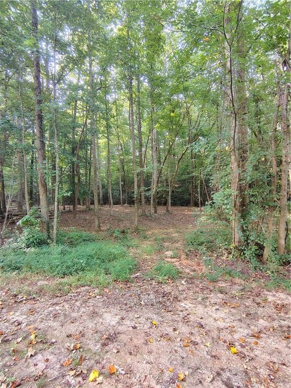 single family residence for sale at 261 Brad St, Royston, GA 30662
