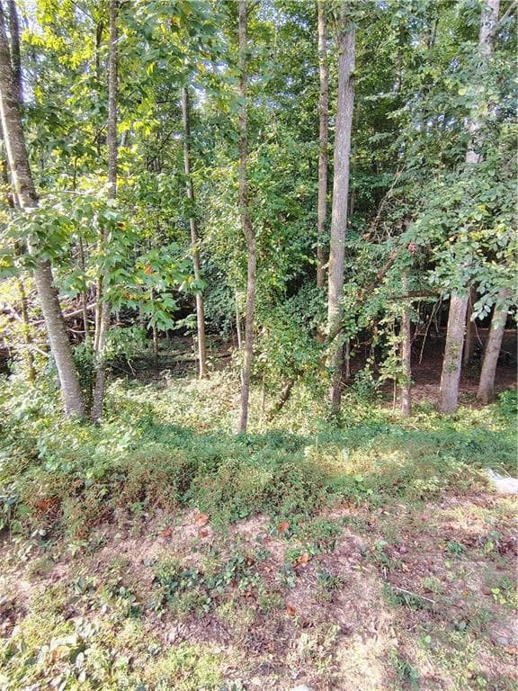 single family residence for sale at 261 Brad St, Royston, GA 30662 — photo 9