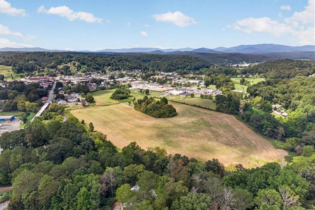 other for sale at 0 River Street, Ellijay, GA 30540 — photo 7