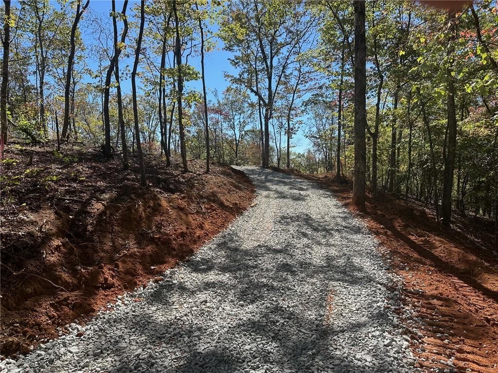 single family residence for sale at 3.71 Yancy Drive, Dawsonville, GA 30534 — photo 2