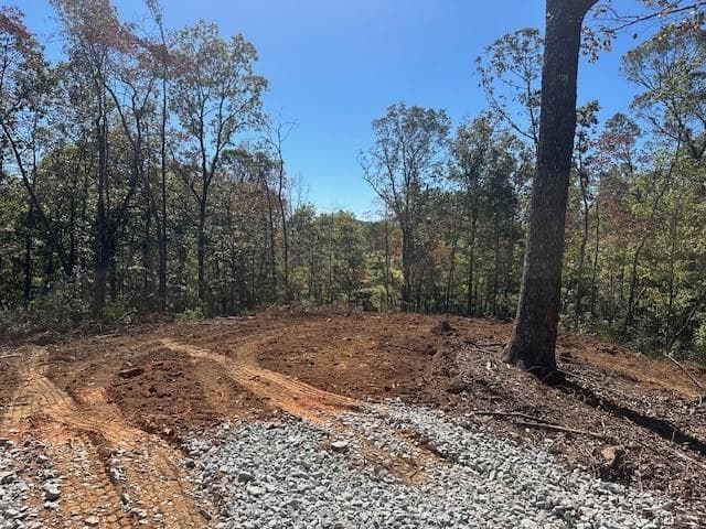 single family residence for sale at 3.71 Yancy Drive, Dawsonville, GA 30534 — photo 3