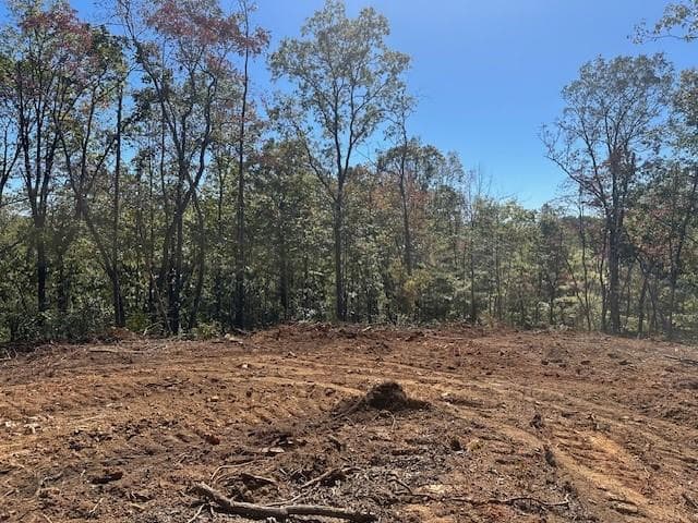 single family residence for sale at 3.71 Yancy Drive, Dawsonville, GA 30534 — photo 4