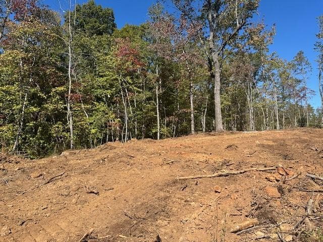 single family residence for sale at 3.71 Yancy Drive, Dawsonville, GA 30534 — photo 5