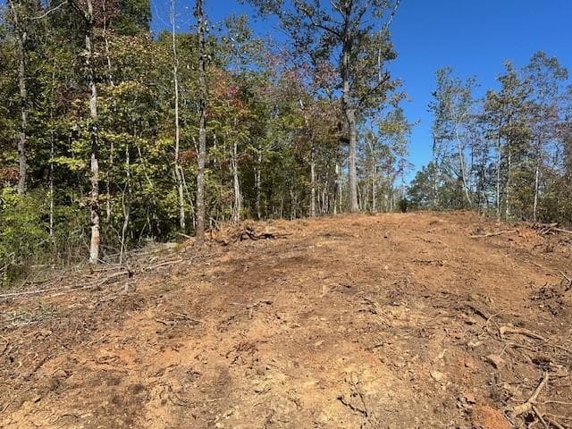 single family residence for sale at 3.71 Yancy Drive, Dawsonville, GA 30534 — photo 8