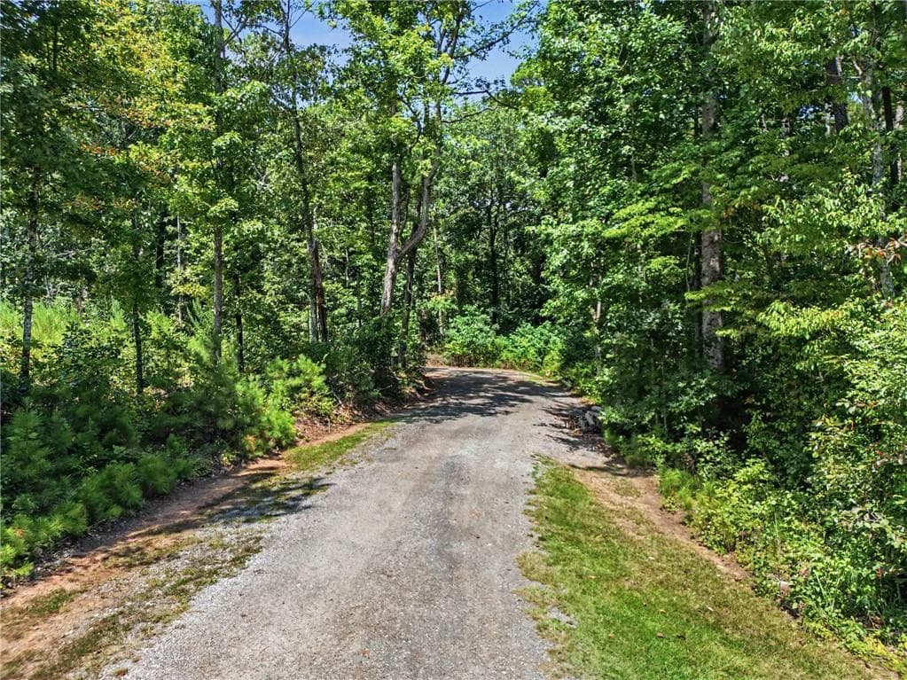 other for sale at 0 Highway 34, Newnan, GA 30263 — photo 4