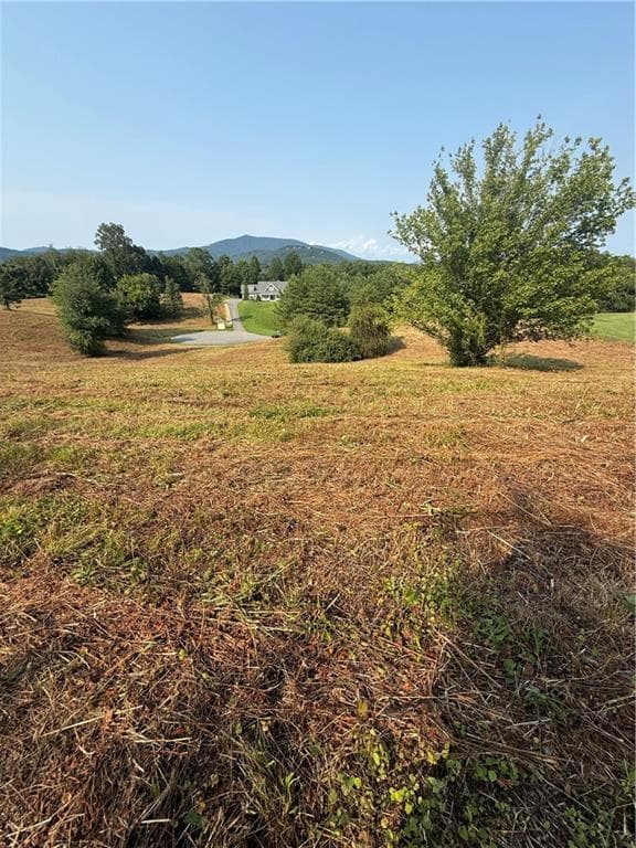 single family residence for sale at 000 Ridgemont Lane, Ellijay, GA 30536 — photo 3
