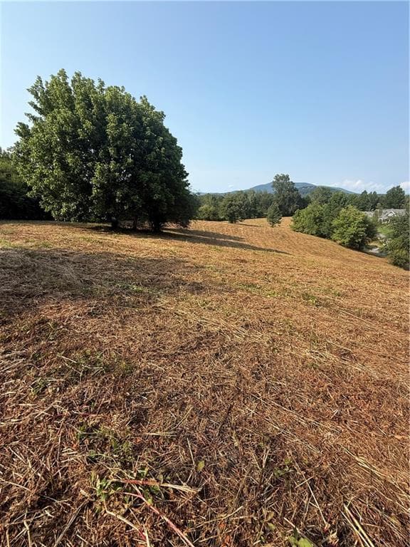 single family residence for sale at 000 Ridgemont Lane, Ellijay, GA 30536 — photo 4