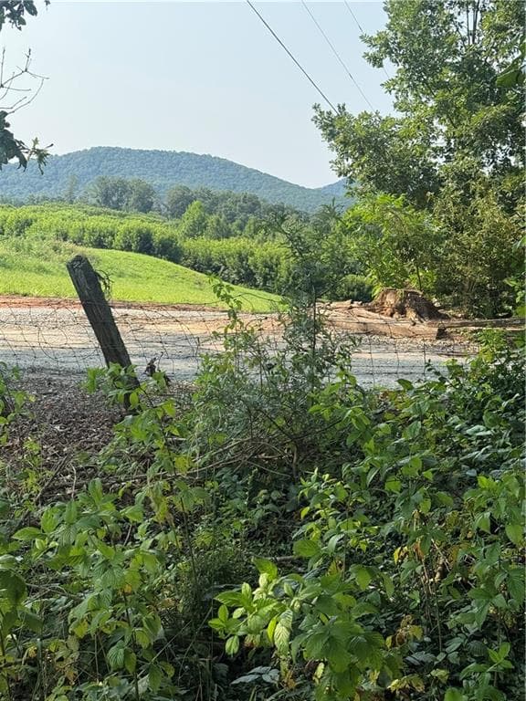 single family residence for sale at 0 Ridgemont Lane, Ellijay, GA 30536 — photo 1 of 6