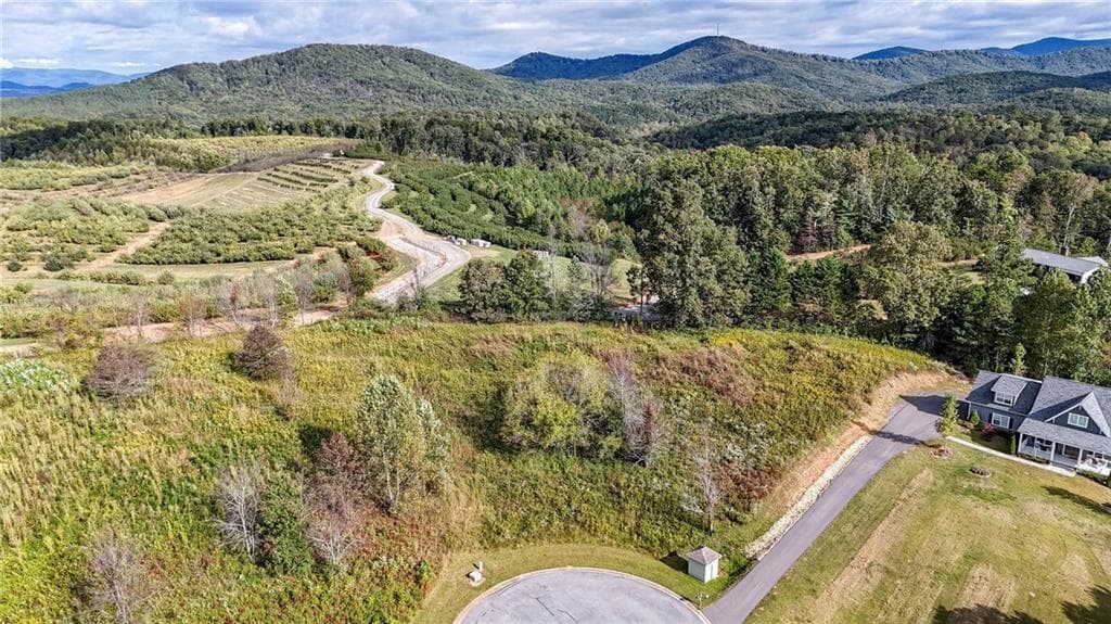 single family residence for sale at 0 Ridgemont Lane, Ellijay, GA 30536 — photo 6