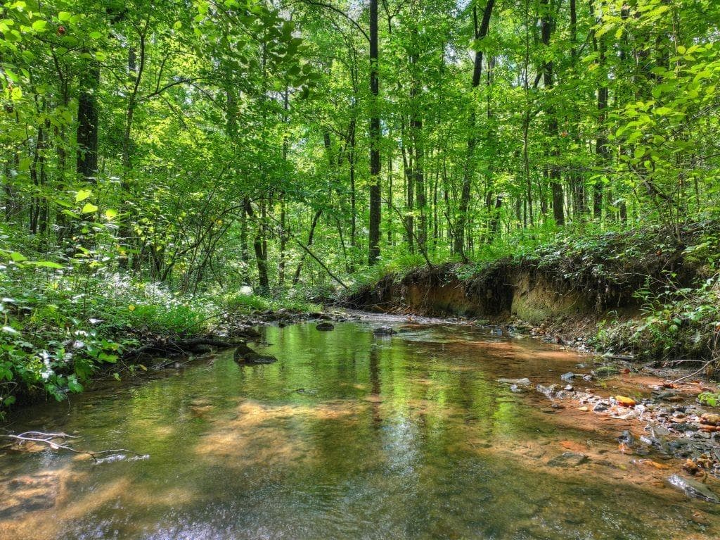 4 bedroom, 4 bathroom, 4,452 sq ft single family residence for sale at 606 Johntown Road, Ellijay, GA 30536 — photo 6