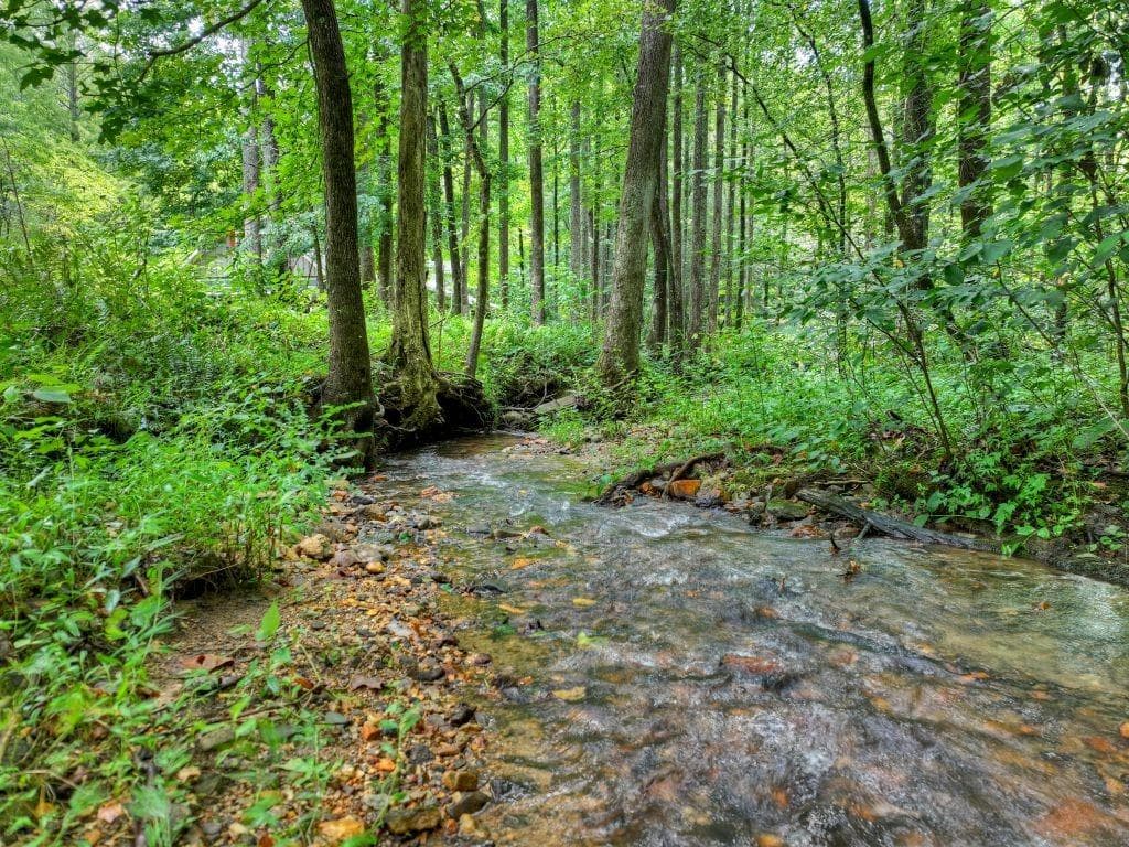 4 bedroom, 4 bathroom, 4,452 sq ft single family residence for sale at 606 Johntown Road, Ellijay, GA 30536 — photo 7