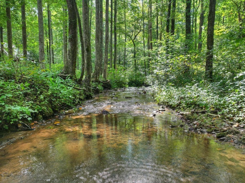 4 bedroom, 4 bathroom, 4,452 sq ft single family residence for sale at 606 Johntown Road, Ellijay, GA 30536 — photo 9