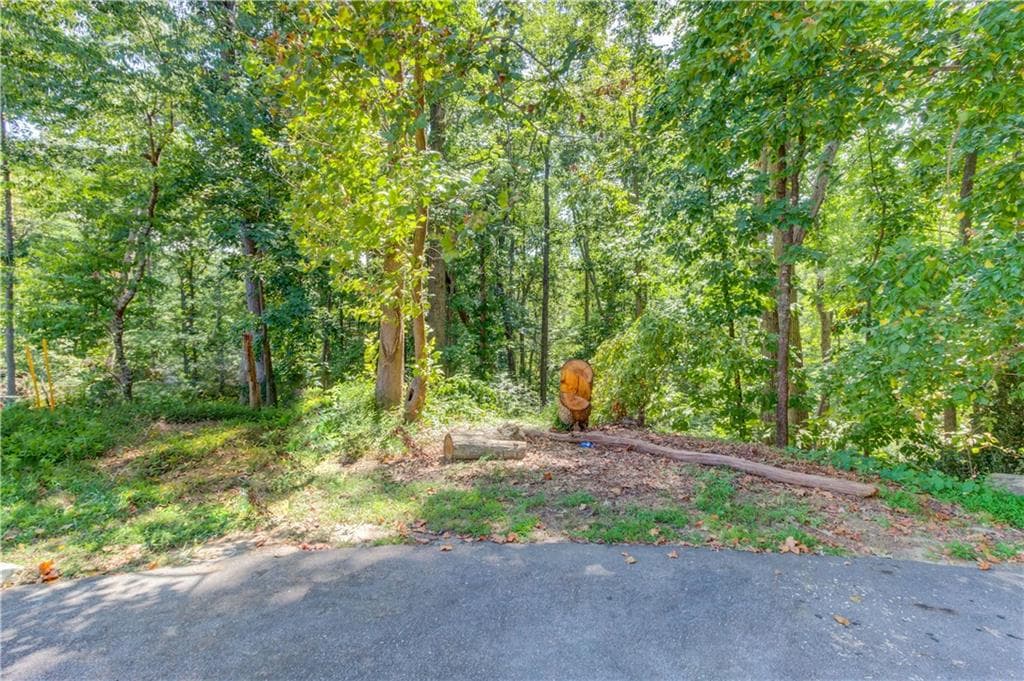 unimproved land for sale at 4301 Holiday Heights Drive, Oakwood, GA 30566 — photo 4