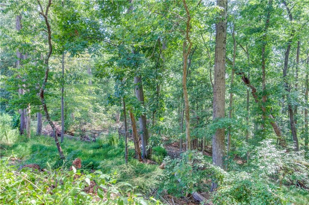 unimproved land for sale at 4301 Holiday Heights Drive, Oakwood, GA 30566 — photo 6