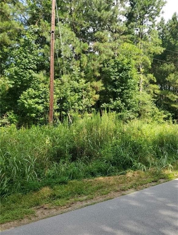 217,800 sq ft other for rent at 000 Dean Road, Aragon, GA 30104 for $800 a month — photo 3