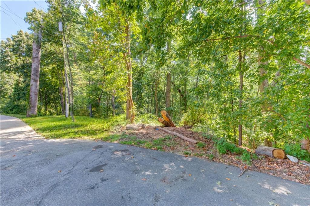 unimproved land for sale at 4300 Holiday Heights Drive, Oakwood, GA 30566 — photo 3
