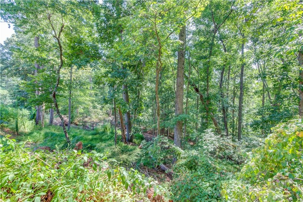 unimproved land for sale at 4300 Holiday Heights Drive, Oakwood, GA 30566 — photo 5