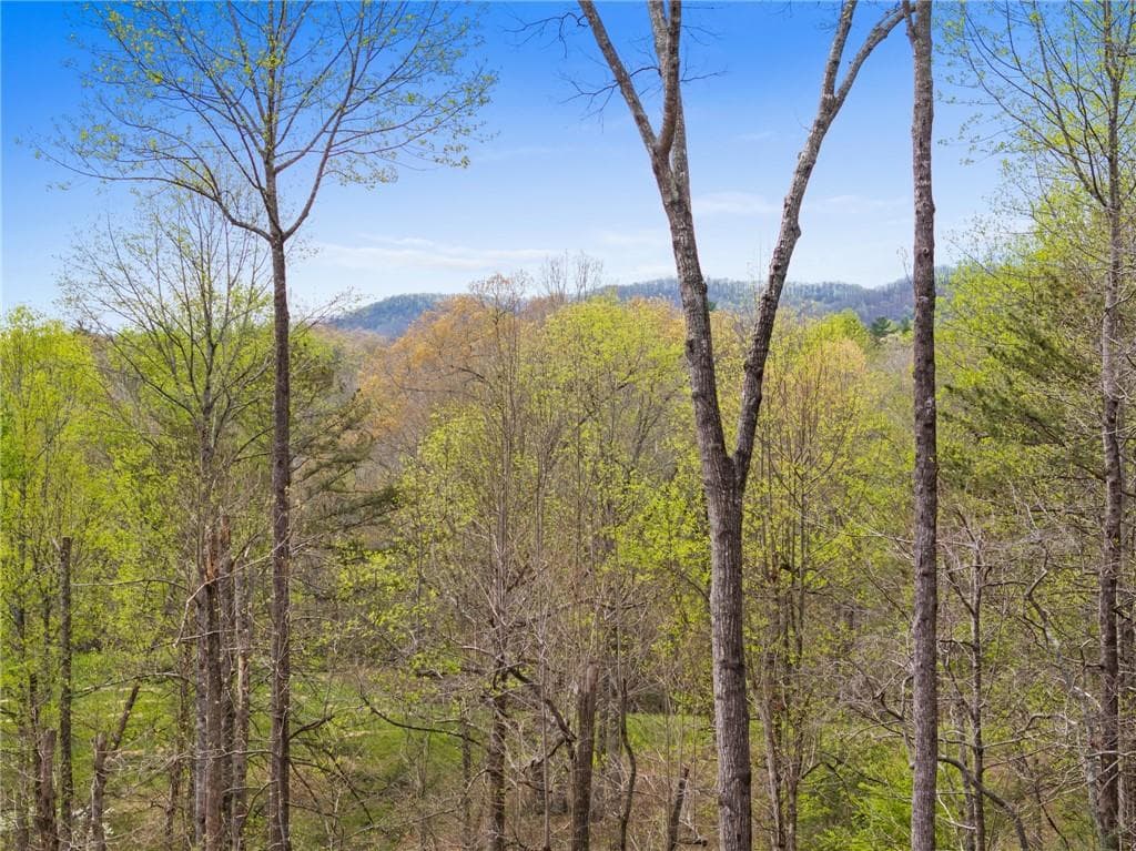 5 bedroom, 3 bathroom, 2,799 sq ft single family residence for sale at 1134 Maggie Chapman Road, Blue Ridge, GA 30513 — photo 2