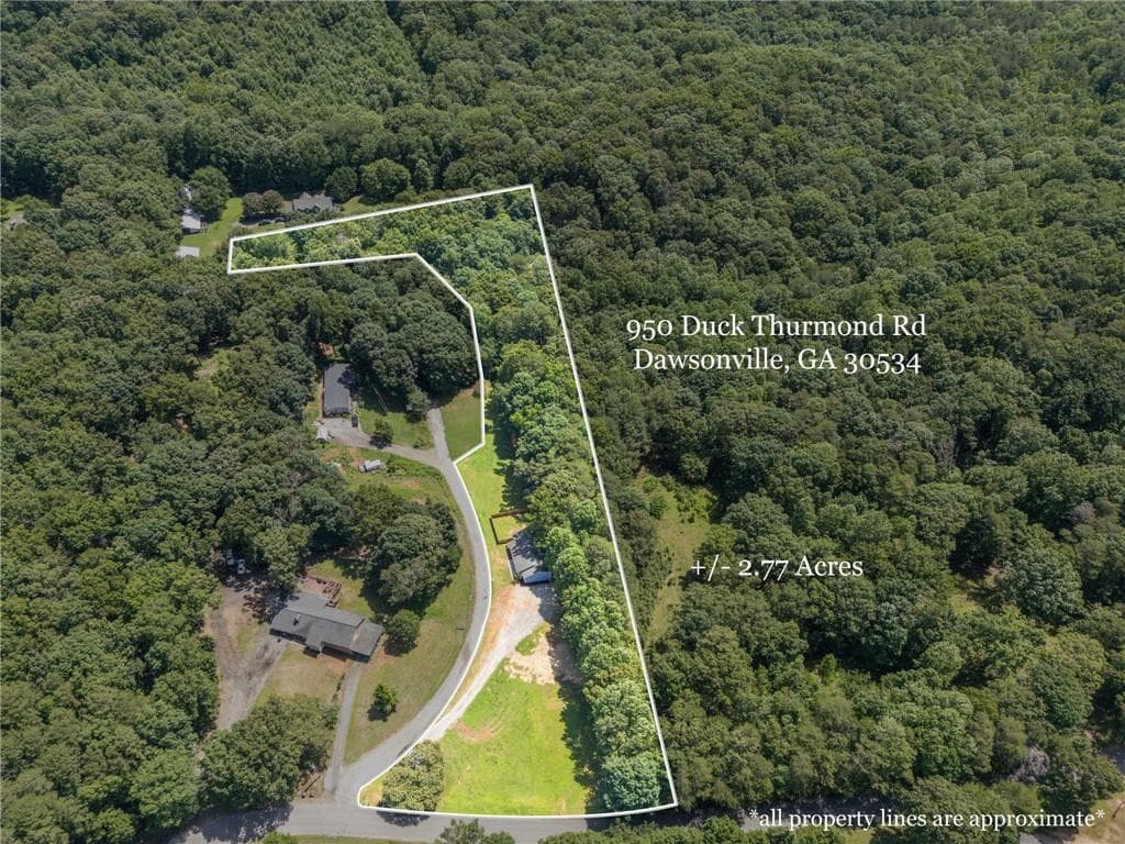 3 bedroom, 2 bathroom, 1,352 sq ft single family residence under contract at 950 Duck Thurmond Road, Dawsonville, GA 30534 — photo 3