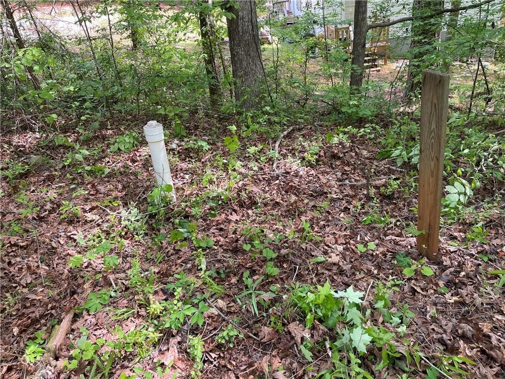 other for sale at 225 White Birch Drive, Covington, GA 30016