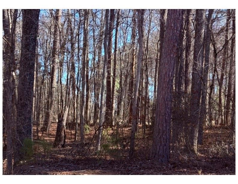 single family residence for sale at 3297 Lakeview Parkway, Villa Rica, GA 30180