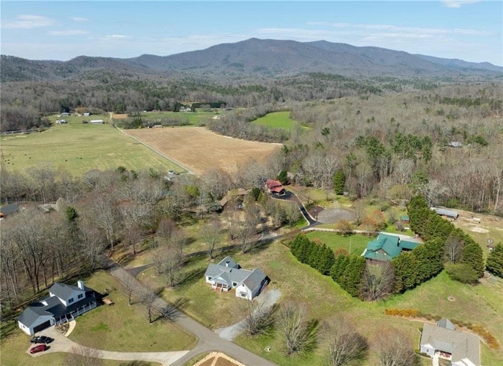 3 bedroom, 3 bathroom, 2,676 sq ft single family residence for sale at 67 Riverwood Place, Ellijay, GA 30536 — photo 5