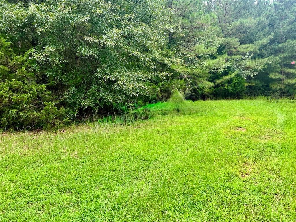 4 bedroom, 2 bathroom, 2,033 sq ft single family residence for sale at 1383 Sims Road, Winder, GA 30680 — photo 5