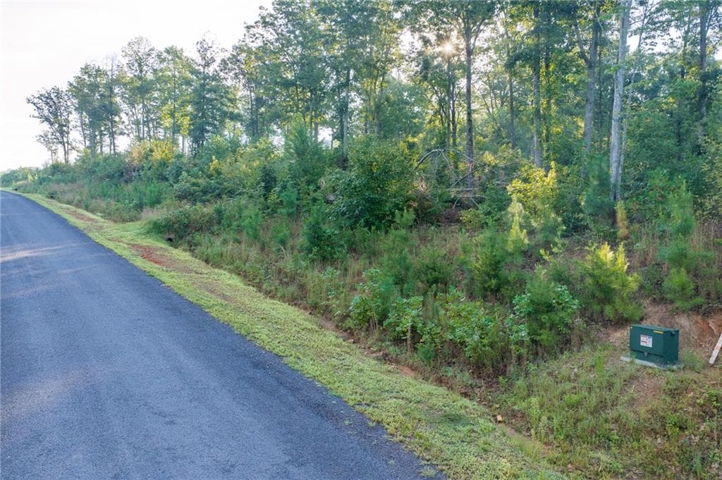 single family residence for sale at LT 191 Oak Park Drive, Talking Rock, GA 30175 — photo 2
