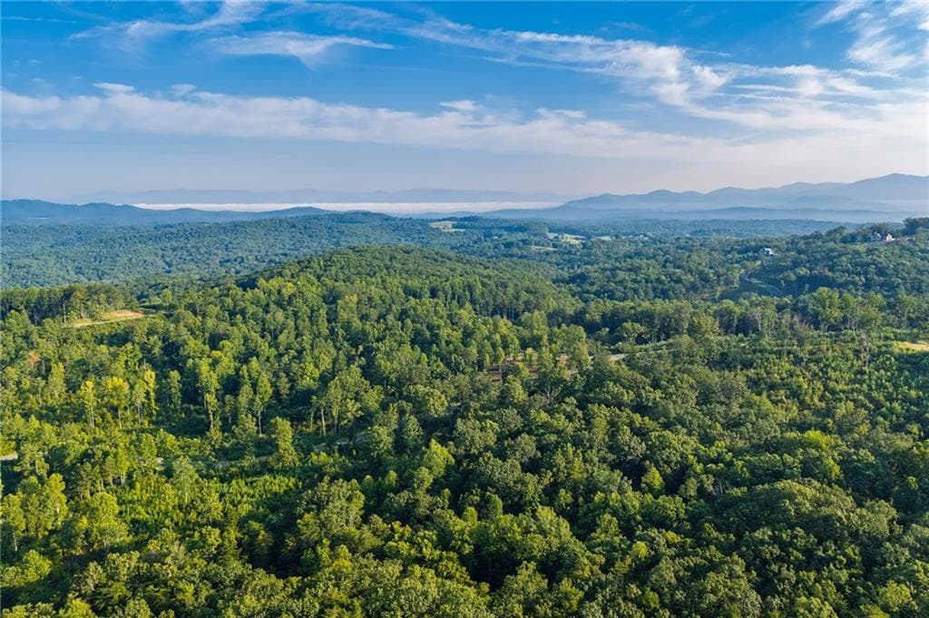single family residence for sale at LT 191 Oak Park Drive, Talking Rock, GA 30175 — photo 6