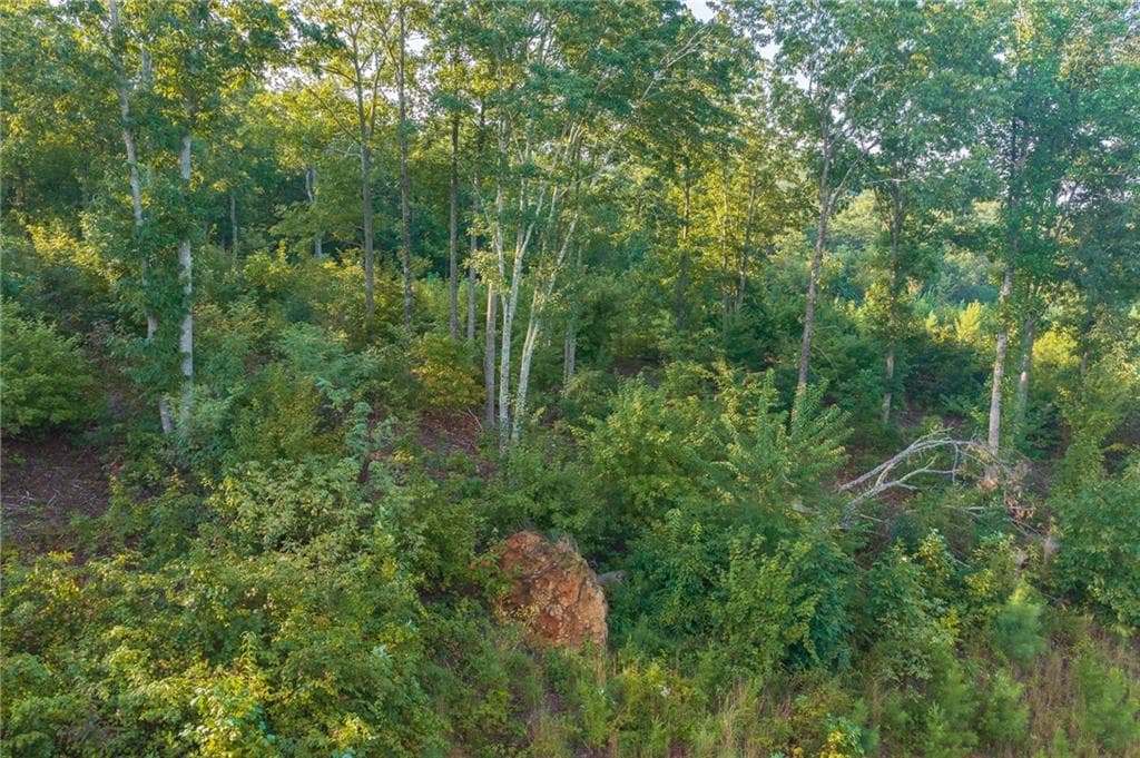 single family residence for sale at LT 191 Oak Park Drive, Talking Rock, GA 30175 — photo 7