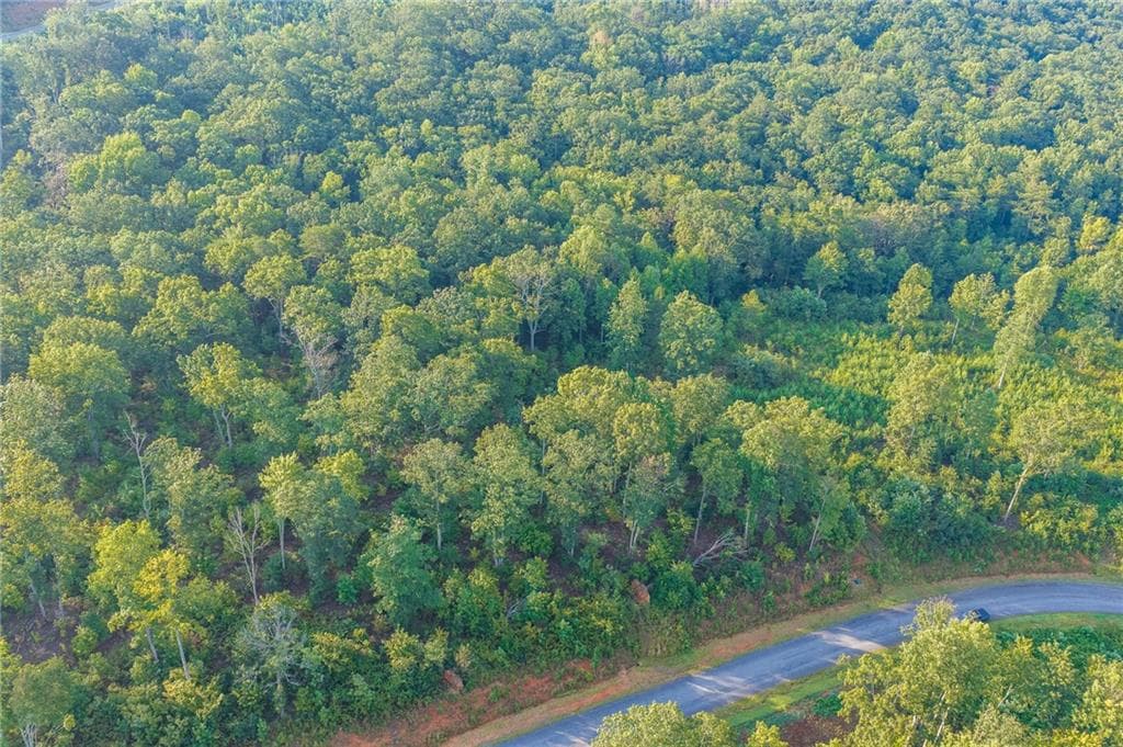single family residence for sale at LT 191 Oak Park Drive, Talking Rock, GA 30175 — photo 8