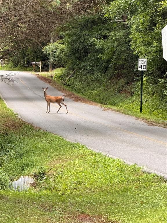 unimproved land for sale at 0 Lee Road, Cedartown, GA 30125 — photo 1 of 9