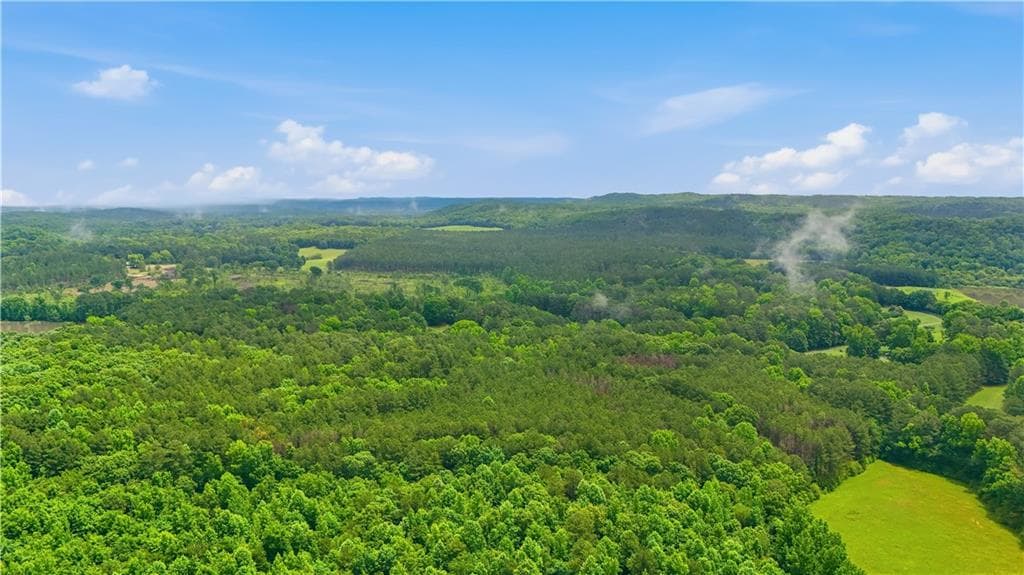 unimproved land for sale at 0 Lee Road, Cedartown, GA 30125 — photo 6