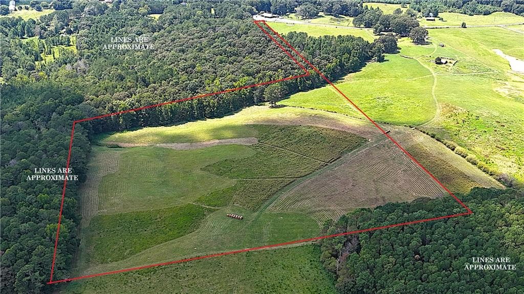 unimproved land for sale at 00001 Steadman Road, Tallapoosa, GA 30176 — photo 3