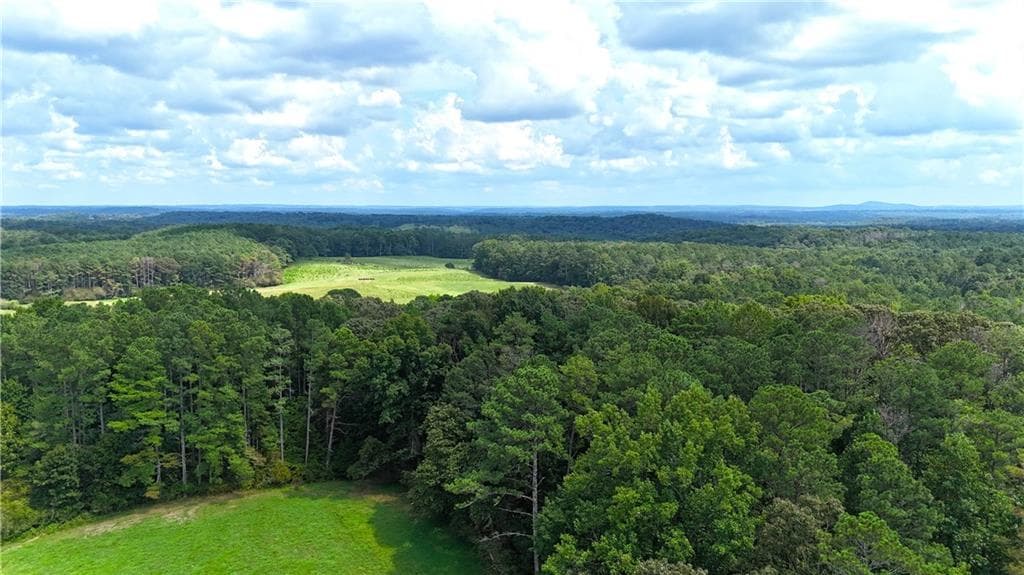 unimproved land for sale at 00001 Steadman Road, Tallapoosa, GA 30176 — photo 5