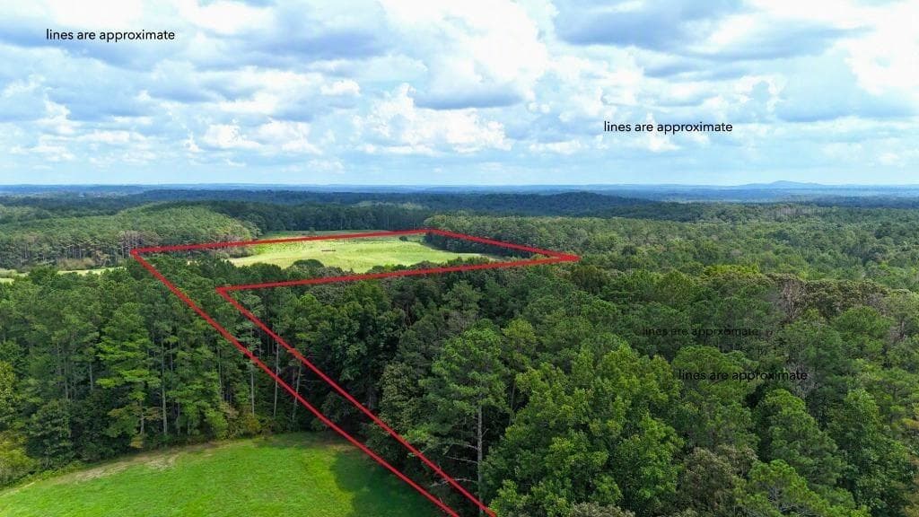 unimproved land for sale at 00001 Steadman Road, Tallapoosa, GA 30176 — photo 6