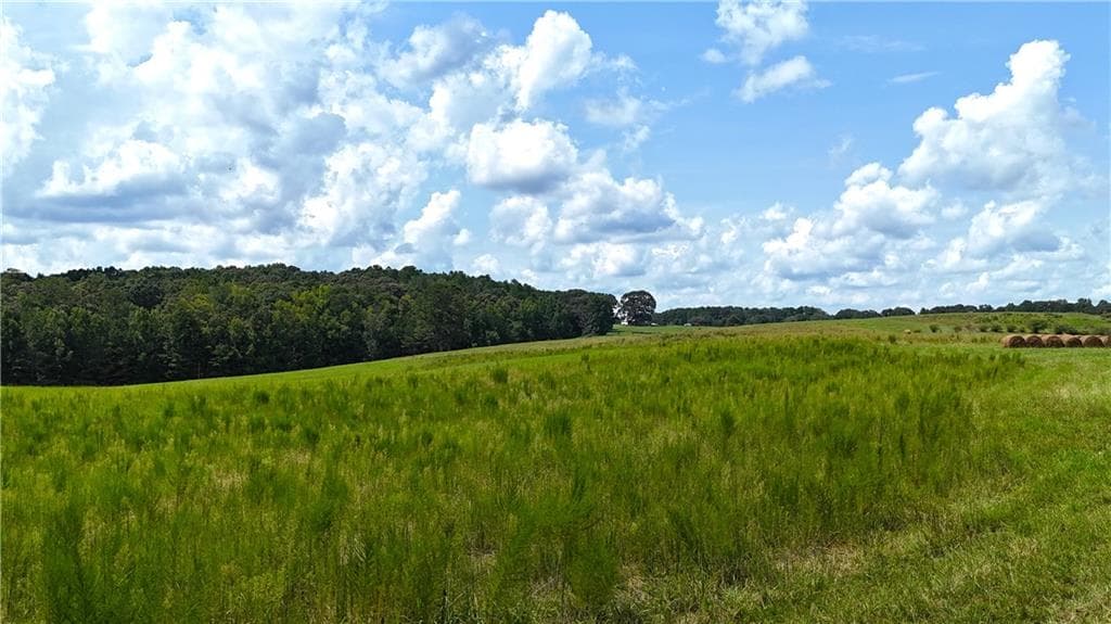 unimproved land for sale at 00001 Steadman Road, Tallapoosa, GA 30176 — photo 7