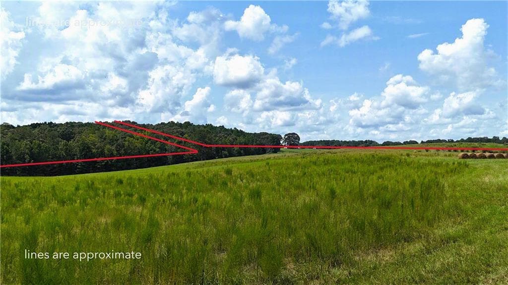 unimproved land for sale at 00001 Steadman Road, Tallapoosa, GA 30176 — photo 8