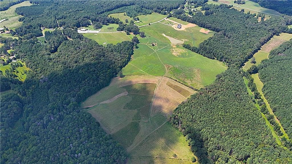 unimproved land for sale at 00001 Steadman Road, Tallapoosa, GA 30176 — photo 9