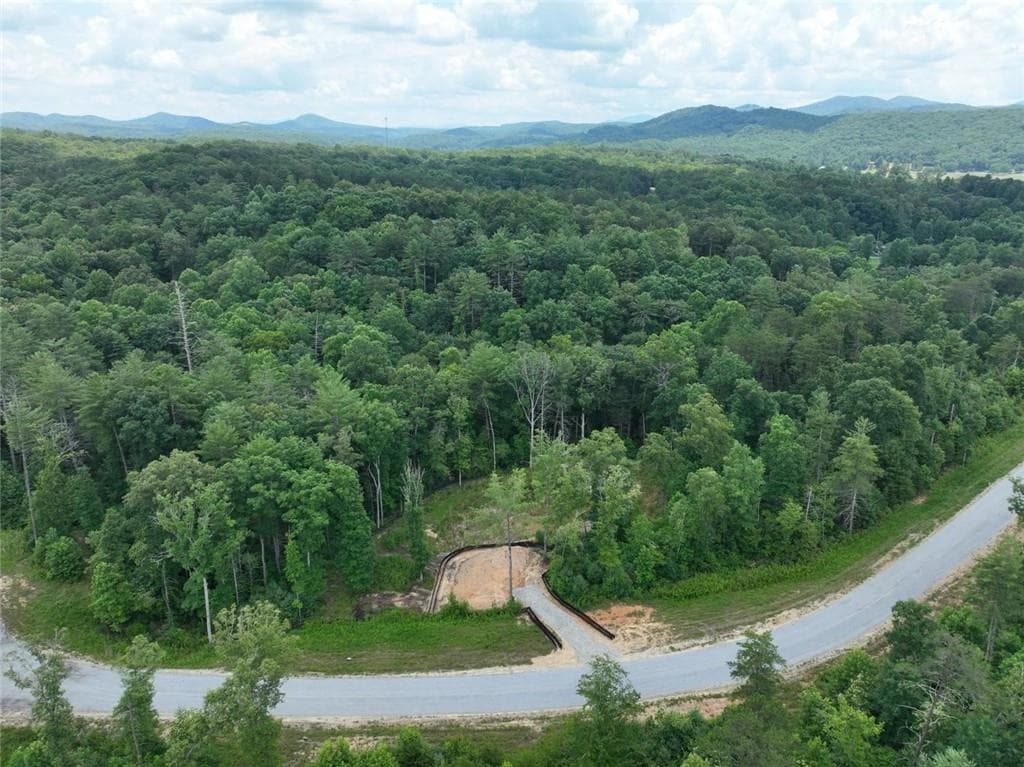 3 bedroom, 2 bathroom, 1,873 sq ft single family residence for sale at 02 Blue Mountain Road, Morganton, GA 30560 — photo 2