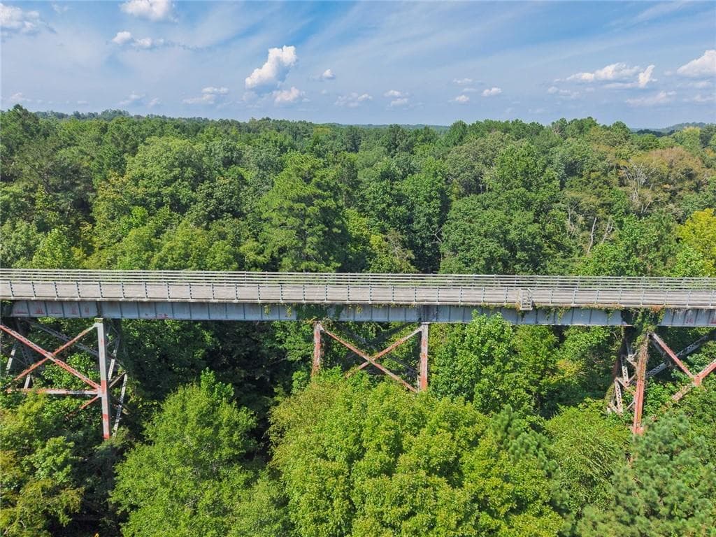 unimproved land for sale at 0 Lane Road, Dallas, GA 30157 — photo 8