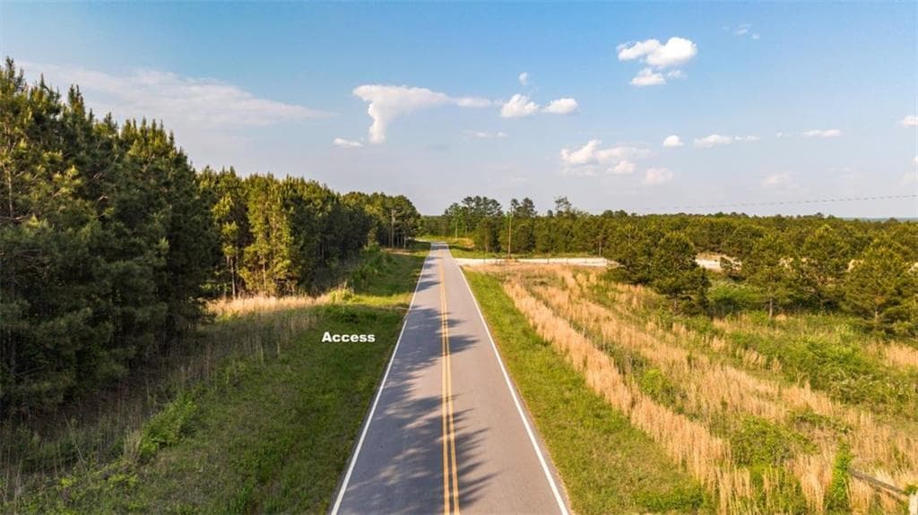 unimproved land under contract at 0 Mt. Zion Church Road, Tallapoosa, GA 30176 — photo 4