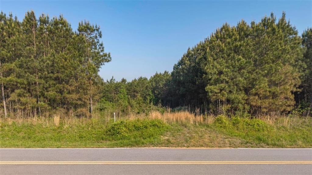 unimproved land under contract at 0 Mt. Zion Church Road, Tallapoosa, GA 30176 — photo 5