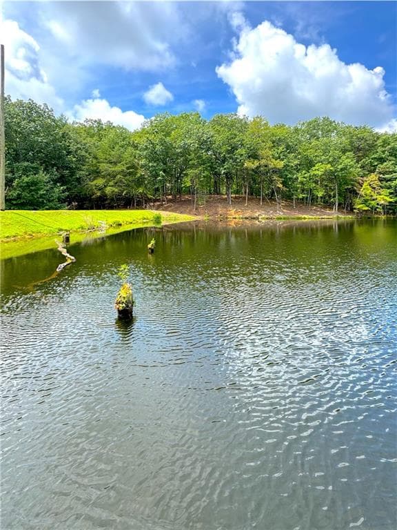 1 bedroom, 1 bathroom single family residence for sale at 655 Mount Sequoyah Road, Jasper, GA 30143 — photo 1 of 53
