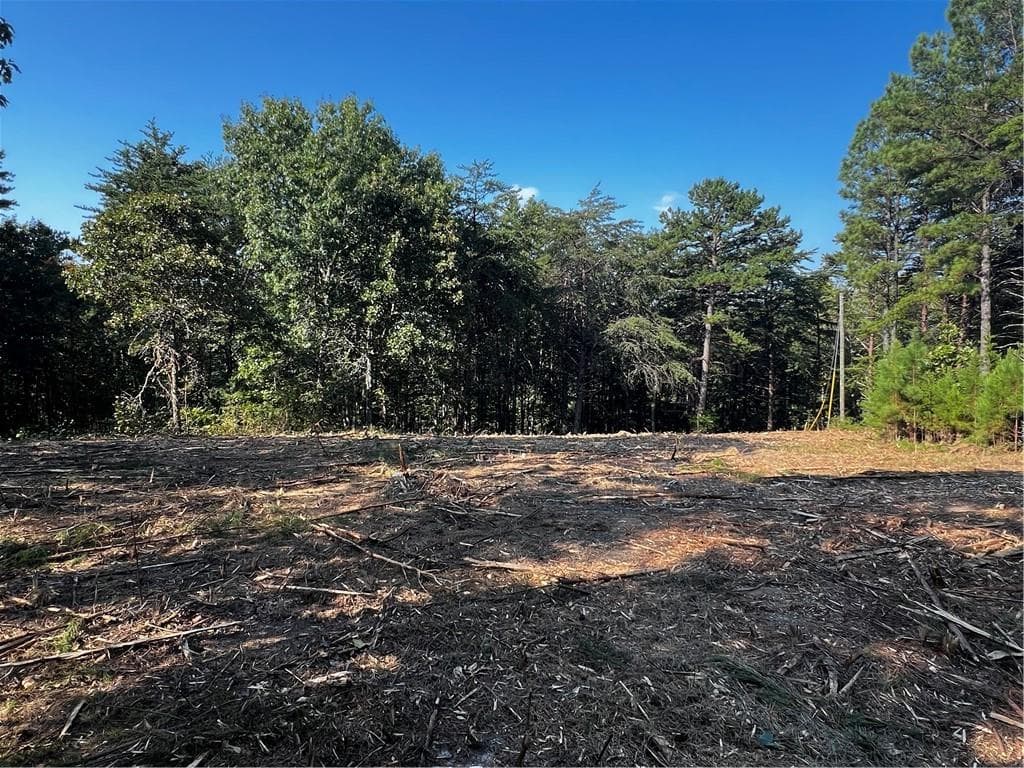 1 bedroom, 1 bathroom single family residence under contract at 330 Wild Azalea Trail, Waleska, GA 30183 — photo 4